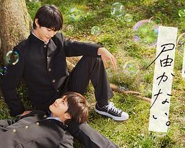 英超名将捐避孕套